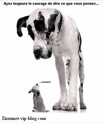 .::! C'est quoi le courage ...?? !::.